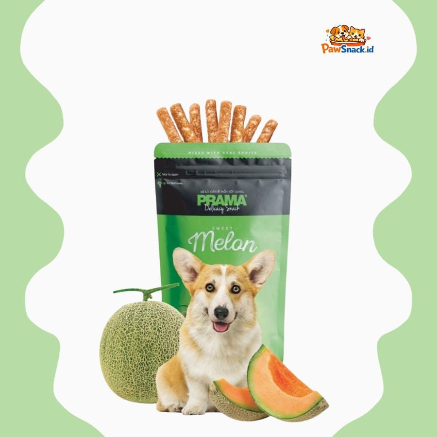Dry Dog Snack PRAMA