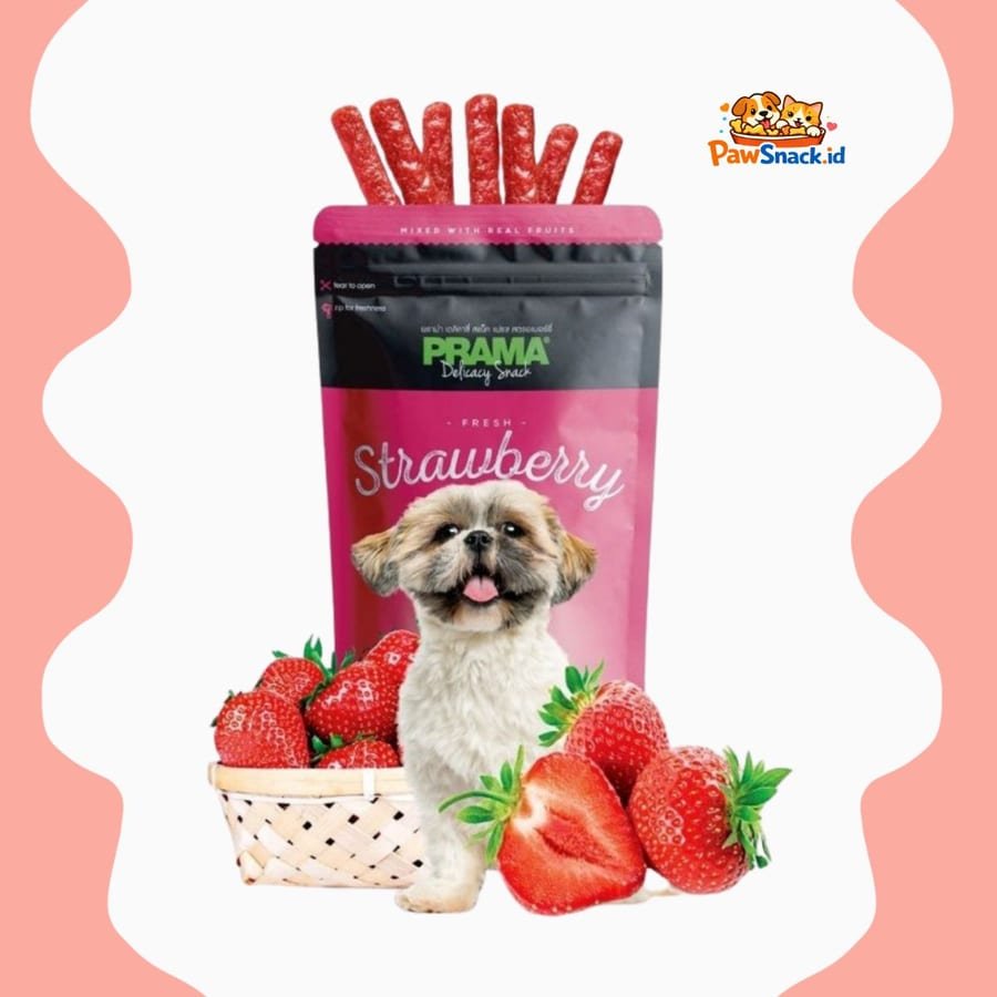 Dry Dog Snack PRAMA